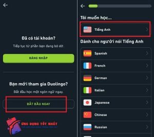 Cách sử dụng ứng dụng Duolingo