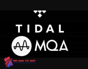 Ưu và nhược điểm của ứng dụng Tidal Music