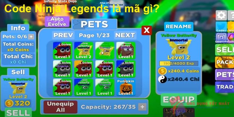 Code Ninja Legends là mã gì?