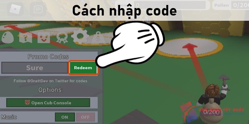 Cách nhập code