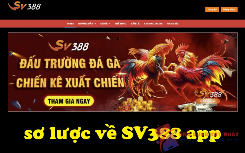 sơ lược về SV388 app